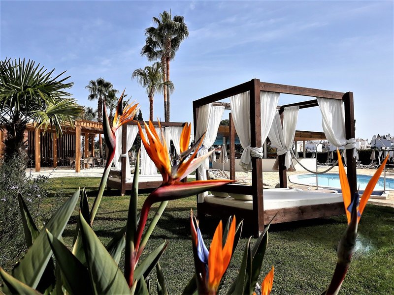 AP Maria Nova Lounge 14