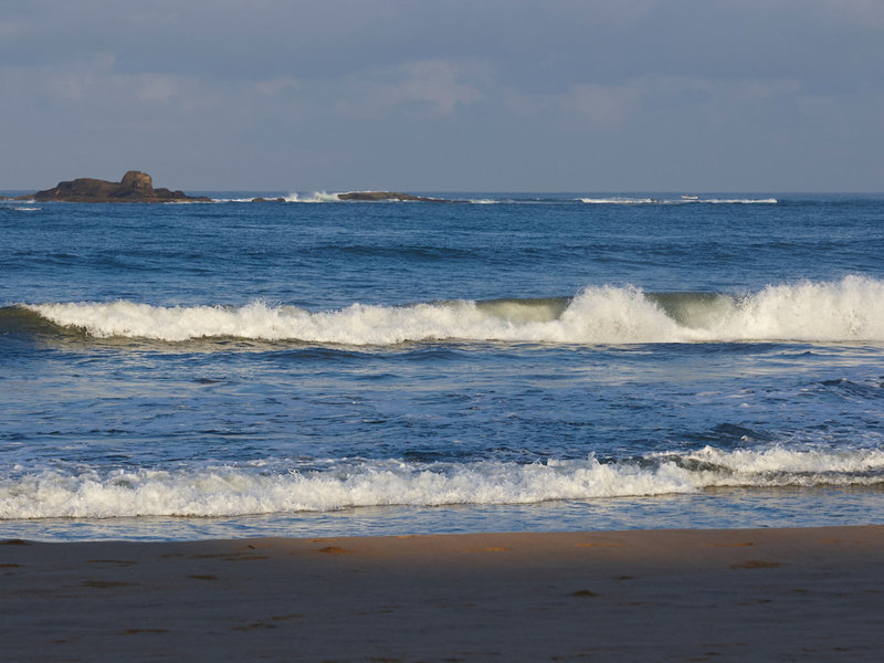 EKHO Surf 10
