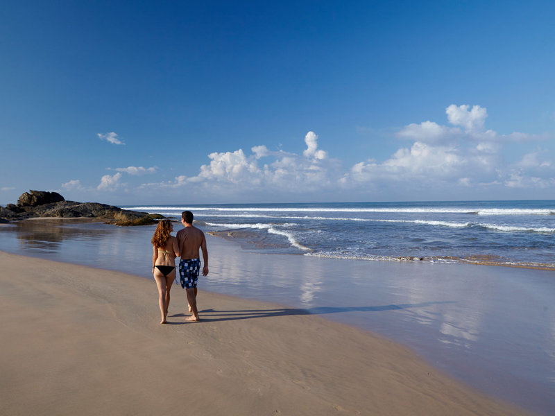 EKHO Surf 12