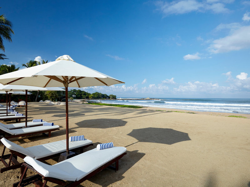 EKHO Surf 21