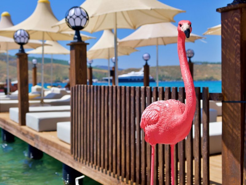 Oscar Seaside Hotel & Spa 7