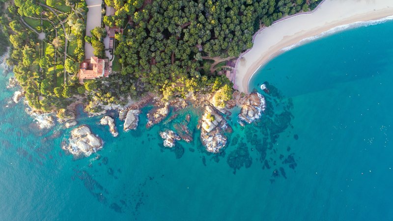 htop Palm Beach 39
