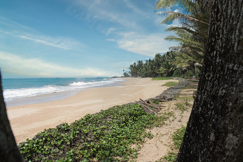 Lanka Princess 9