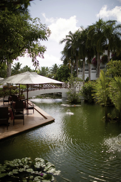 Lanka Princess 14