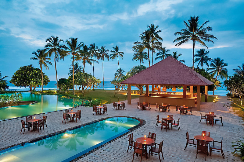 Hikka Tranz by Cinnamon 1