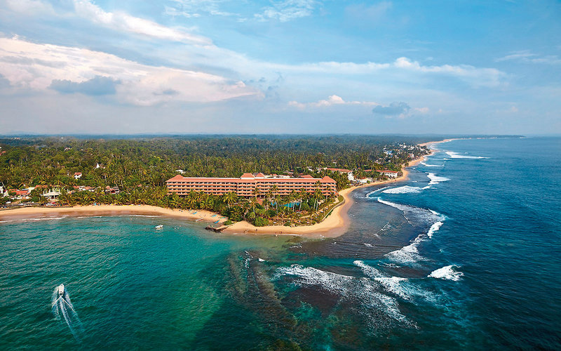 Hikka Tranz by Cinnamon 3