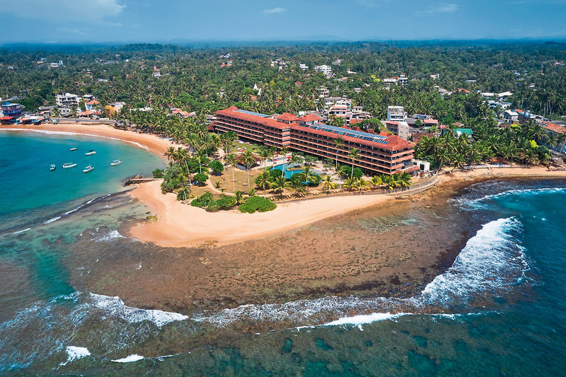 Hikka Tranz by Cinnamon 4