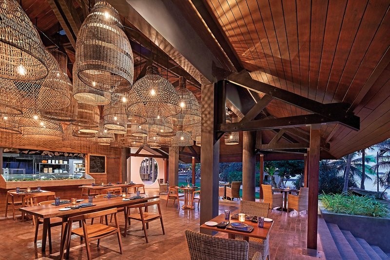 Hikka Tranz by Cinnamon 7