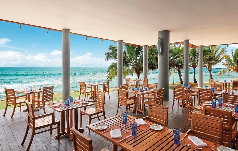 Hikka Tranz by Cinnamon 9