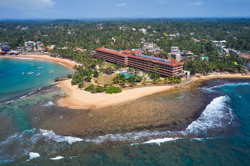 Hikka Tranz by Cinnamon 1