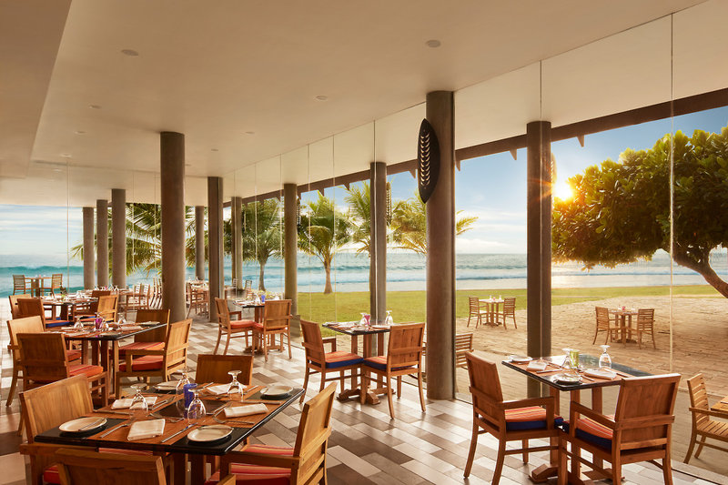 Hikka Tranz by Cinnamon 10