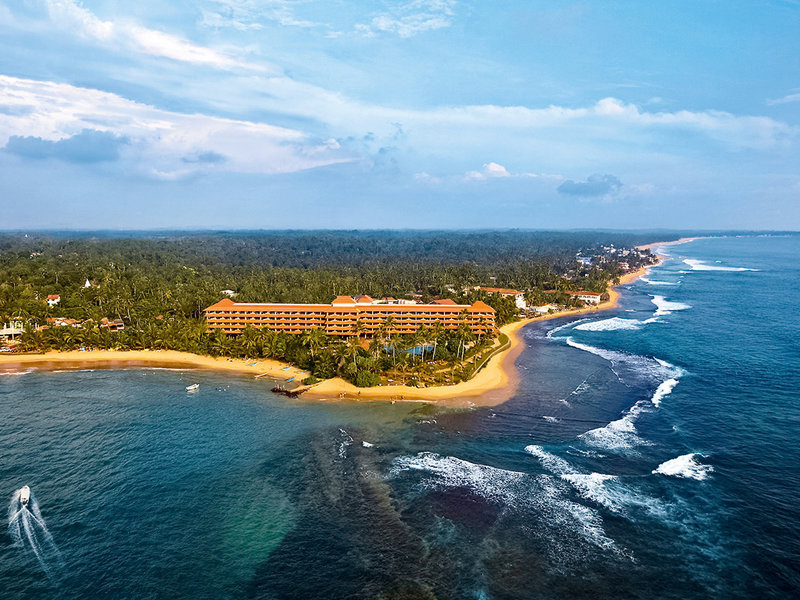 Hikka Tranz by Cinnamon