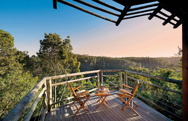 Tsala Treetop Lodge 3