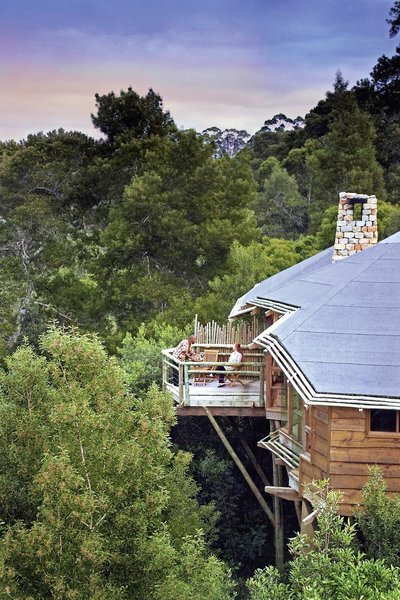 Tsala Treetop Lodge 5