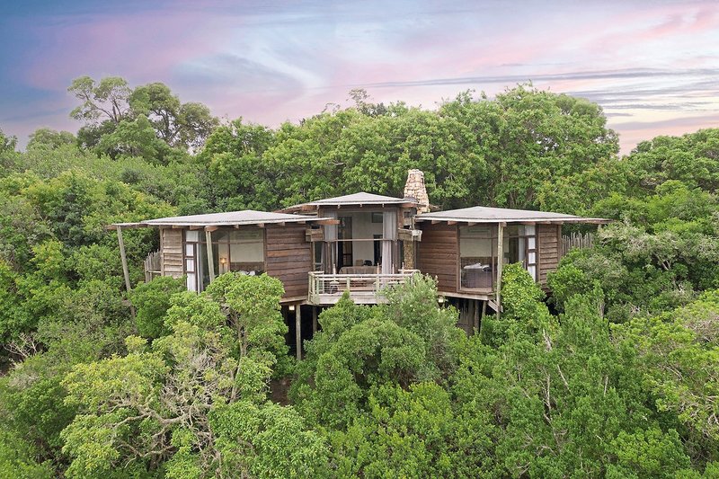 Tsala Treetop Lodge 17