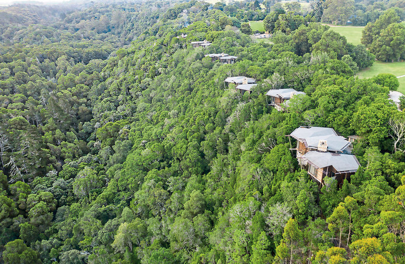 Tsala Treetop Lodge 19