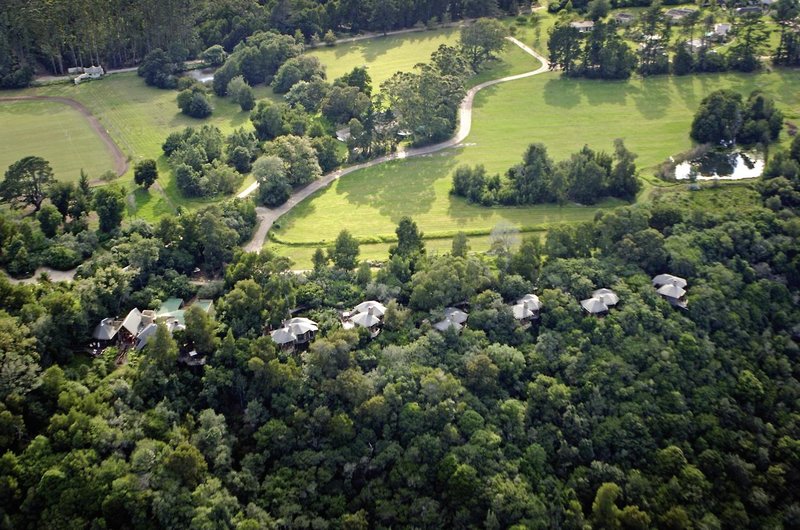 Tsala Treetop Lodge 22