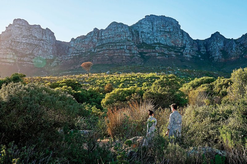 The Twelve Apostles 22