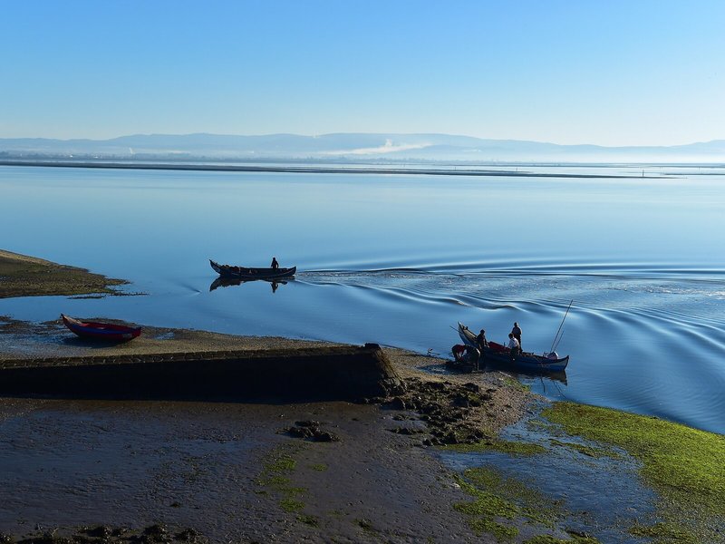 Pousada Ria Aveiro Charming Hotel 7