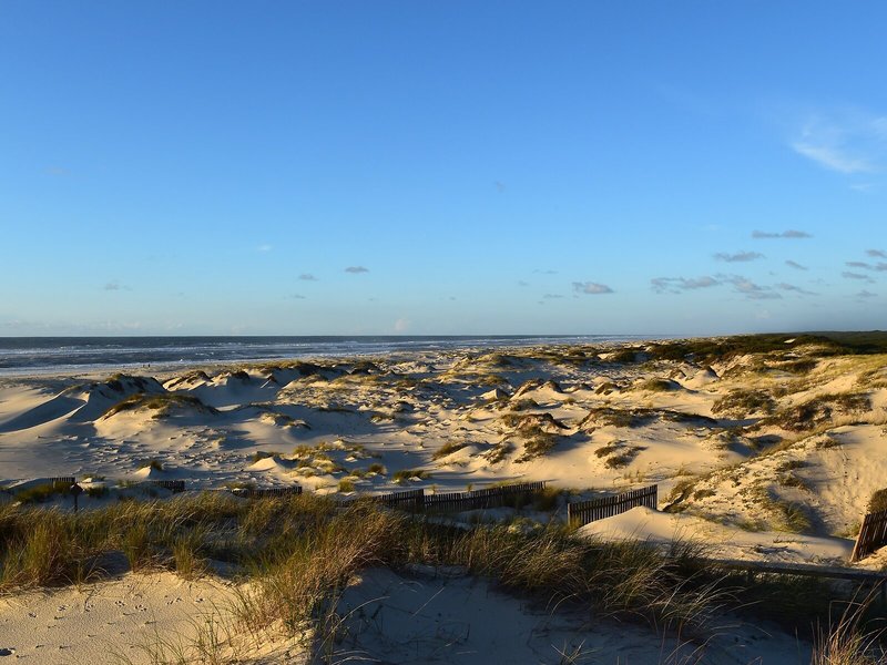 Pousada Ria Aveiro Charming Hotel 10