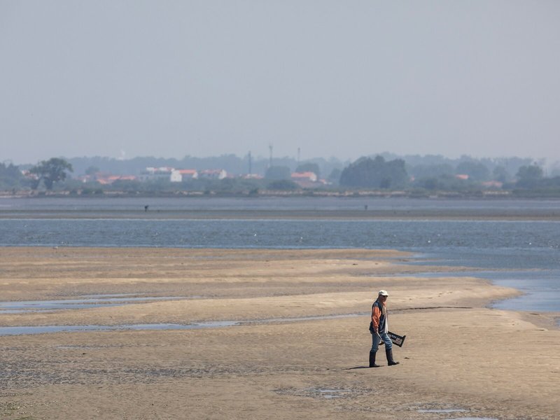 Pousada Ria Aveiro Charming Hotel 11