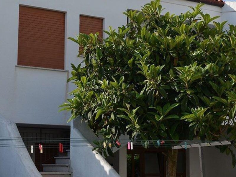 Hotel Berna