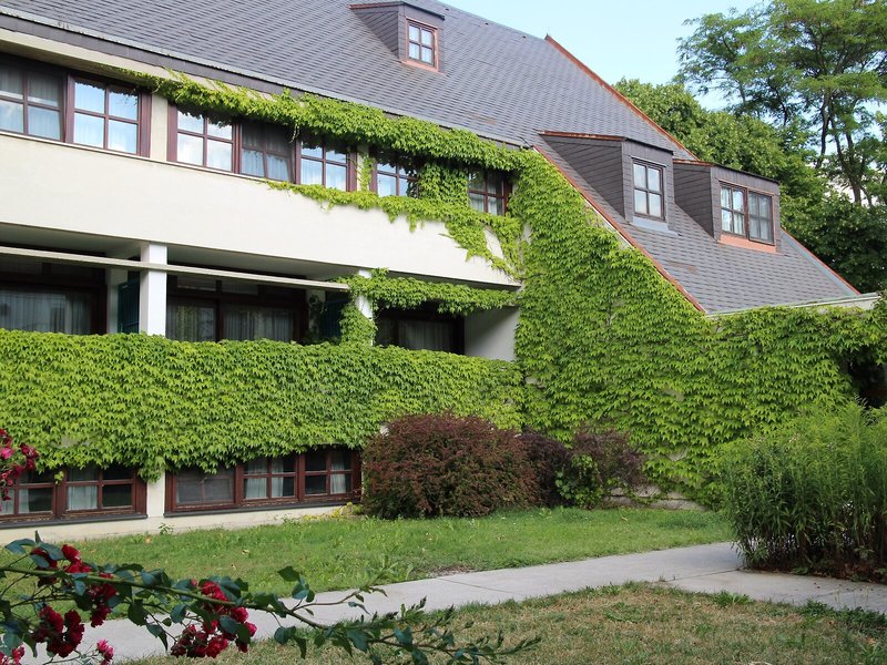 Sifkovits 1