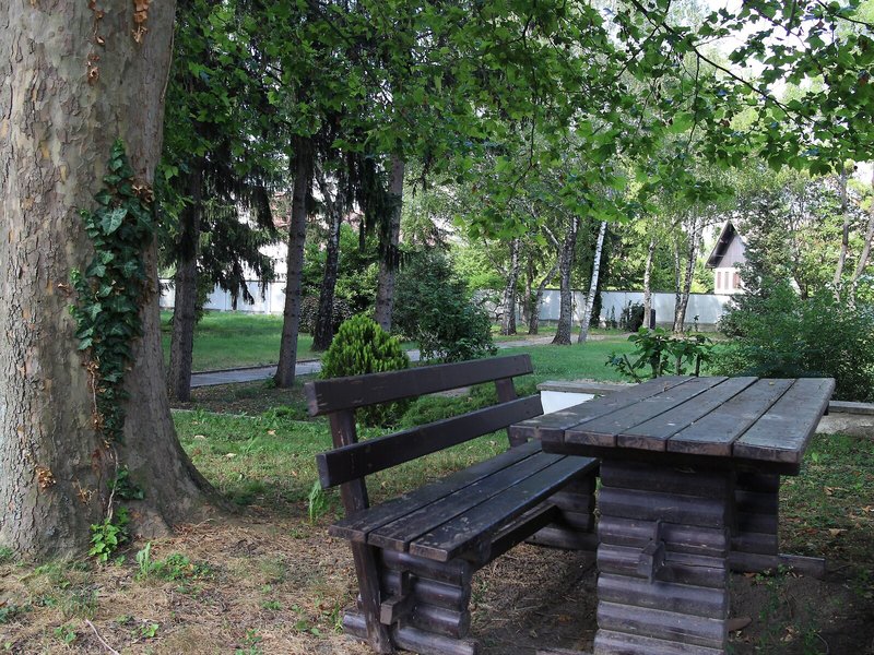 Sifkovits 4