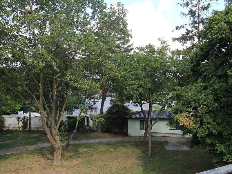 Sifkovits 5