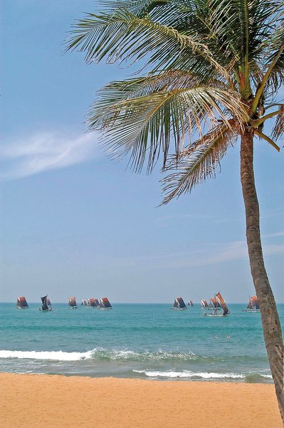 Jetwing Beach 9
