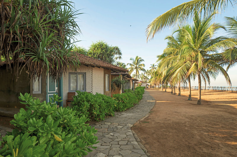Club Hotel Dolphin 14