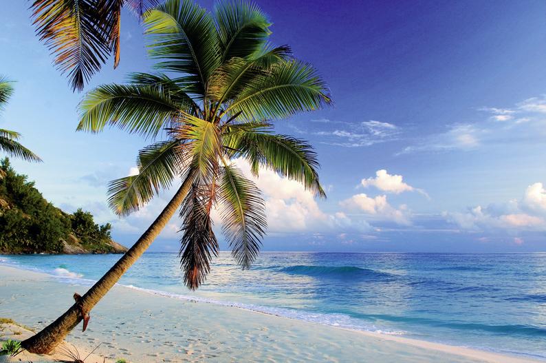 North Island Seychelles 16