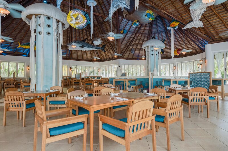 Iberostar Selection Paraíso Lindo 103