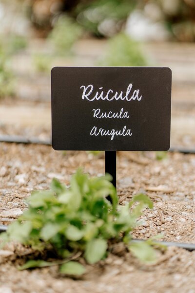 R2 Rio Calma Hotel & Spa & Conference 47