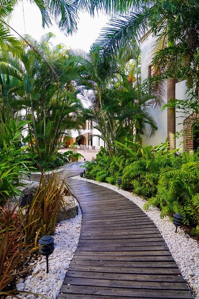 Hodelpa Nicolas de Ovando 8