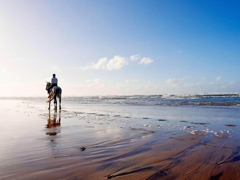Pullman Mazagan Royal Golf & Spa Hotel 16