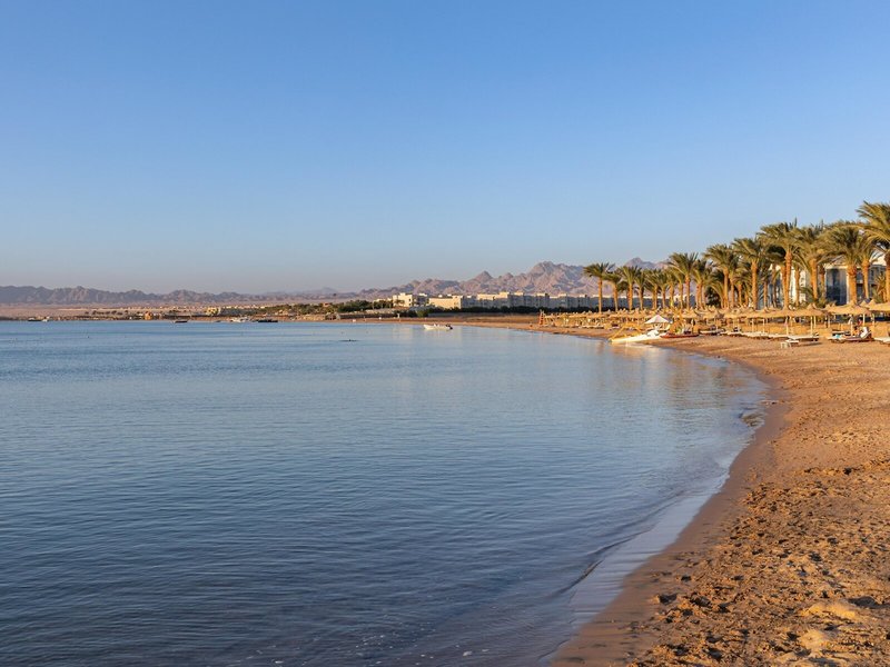 SENTIDO Palm Royale 4