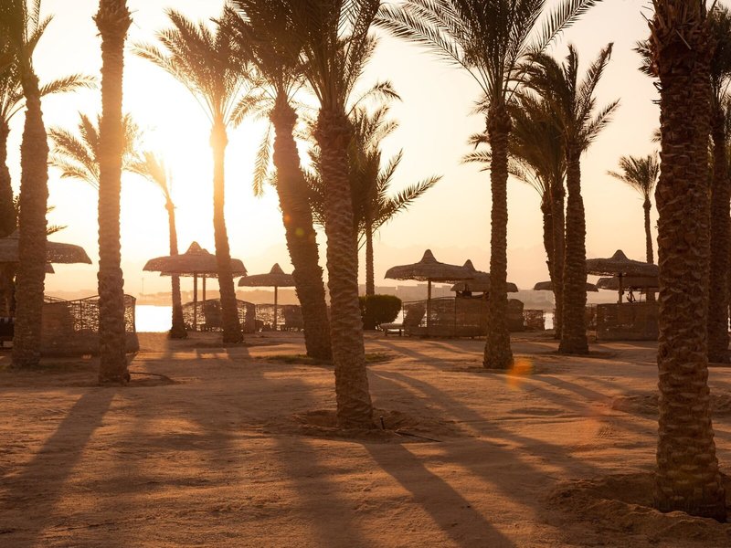 SENTIDO Palm Royale 8