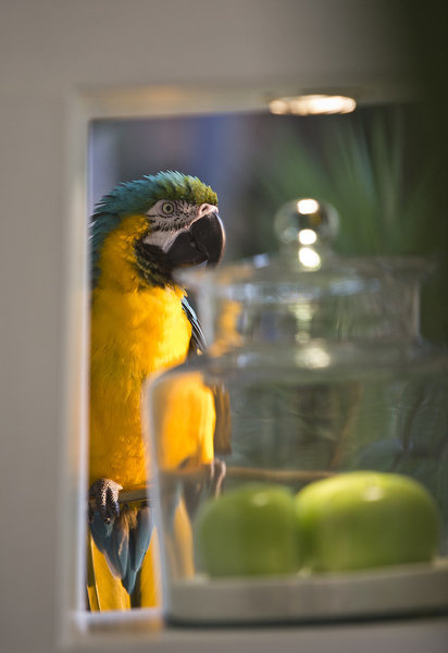 Anantara Hua Hin Resort 39