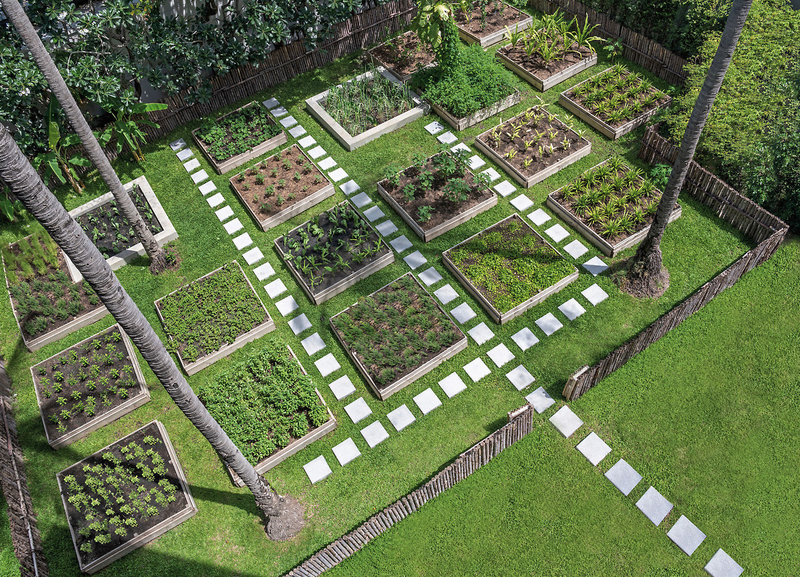 Centara Grand Beach Resort Samui 46