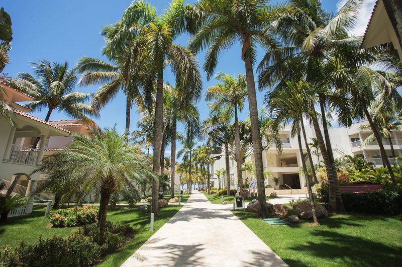 Viva Tangerine by Wyndham, A Trademark All Inclusive 6