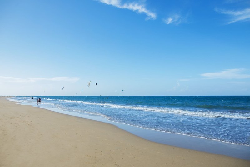 Viva Tangerine by Wyndham, A Trademark All Inclusive 7