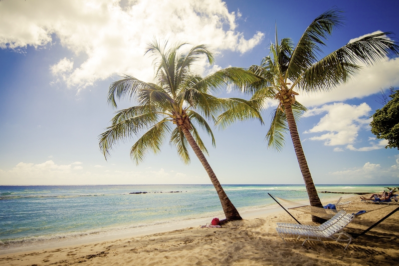 Sugar Bay Barbados 48