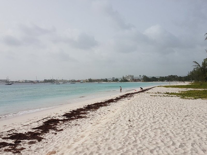 Island Inn Hotel 3