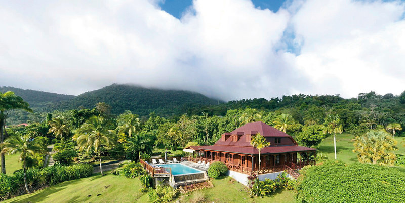 Le Jardin Malanga 1