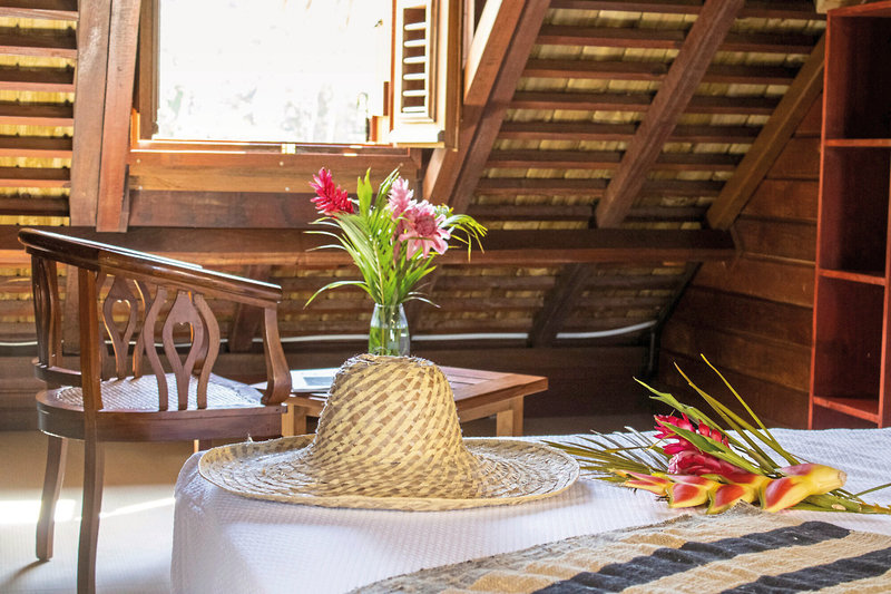 Le Jardin Malanga 12