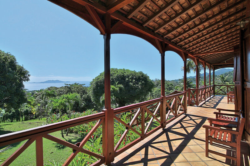 Le Jardin Malanga 13