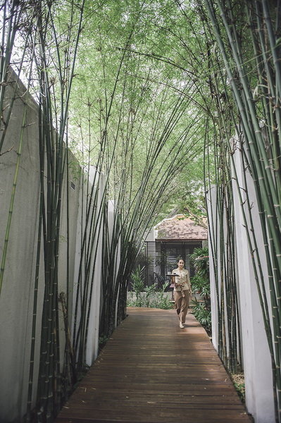 Chaweng Regent Beach Resort 3