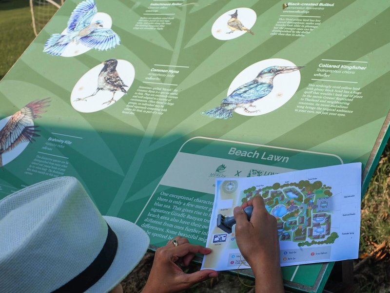 Khao Lak Merlin Resort 47