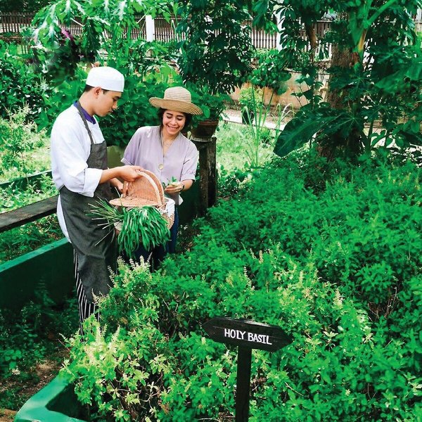 Sheraton Samui Resort 39